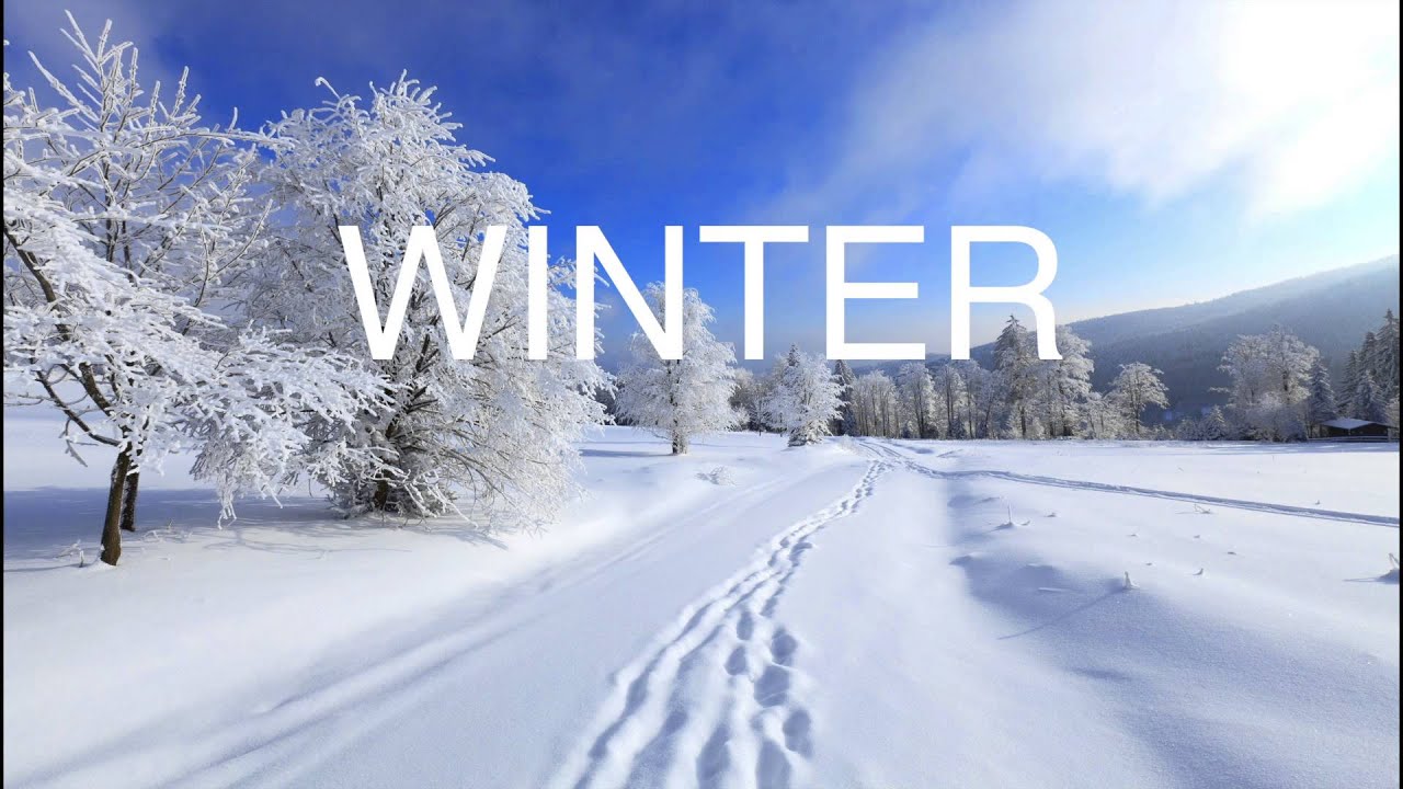 Cours d'Allemand 101: Les 4 Saisons