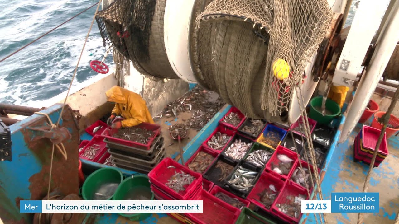 Mer : comment les pêcheurs s'adaptent aux difficultés du métier