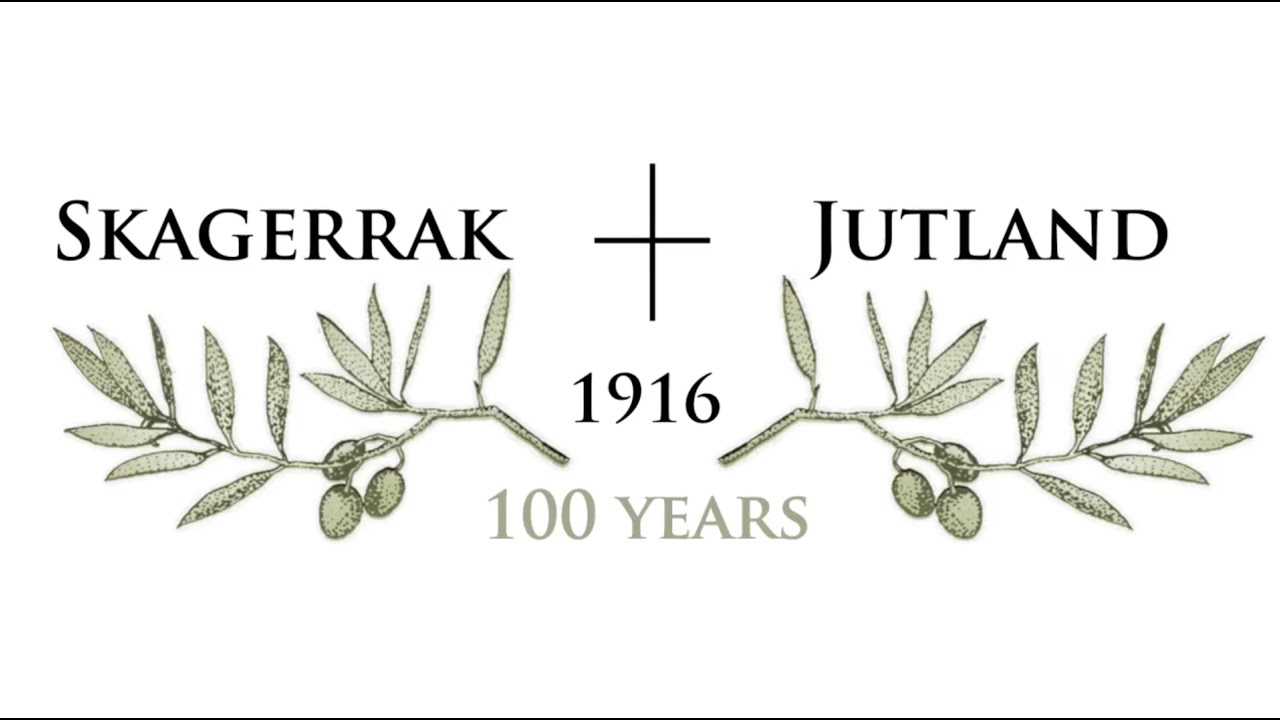 Battle of Jutland 1916 Animation donated by Hon. Nicholas Jellicoe