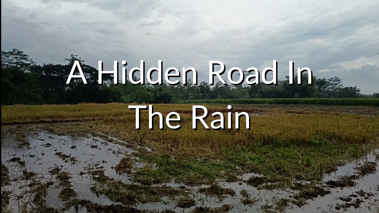 Calm Rain Walk 🌧️ Hidden Road in South Malang, Indonesia POV | 25 Min