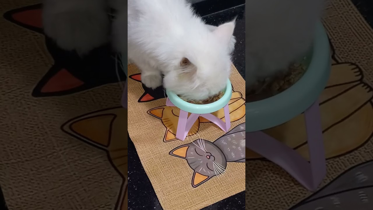 Sugar hungry man he is eating like a monster 