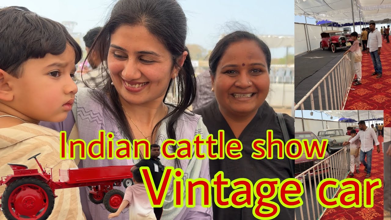 Indian cattle show Rajkot me aa gye hai beautiful Gir & kankrej  