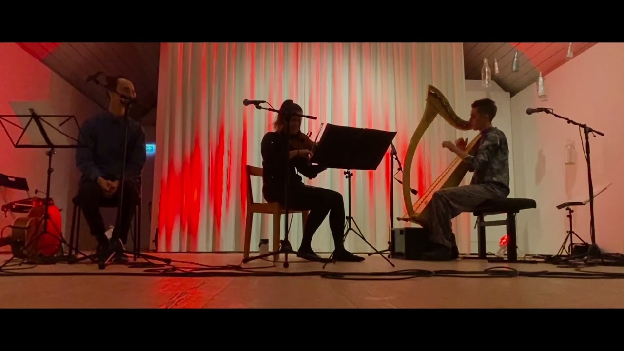 WOODLANDS - Golden Ticket (Eric Merill), harp and fiddle