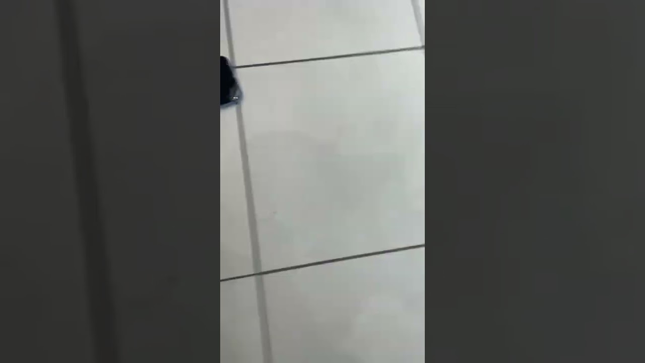 iPhone XR Blue Drop Test Went Wrong!! 