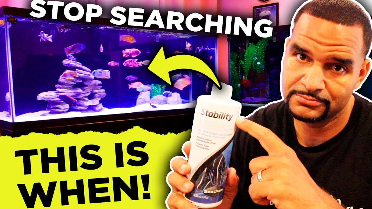 4 Times You NEED Aquarium Bacteria!