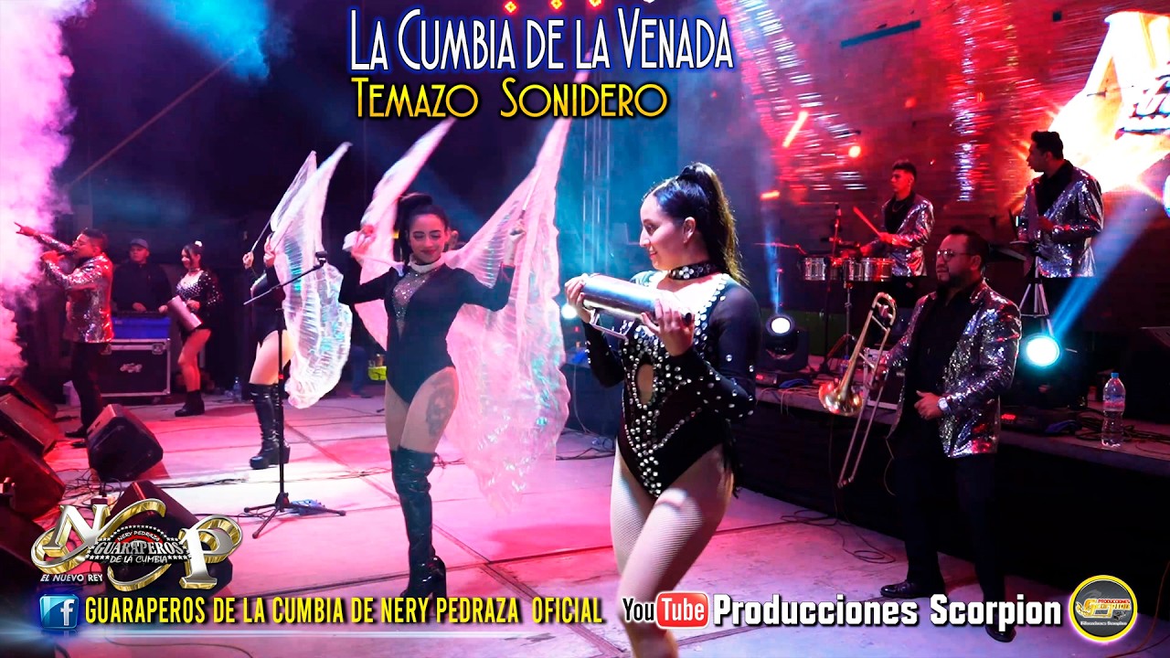 La Cumbia de la Venada 🦌 Nery Pedraza y los Guaraperos de la Cumbia en Vivo 🎙️ EL DE LA RUMBA SOY 👑