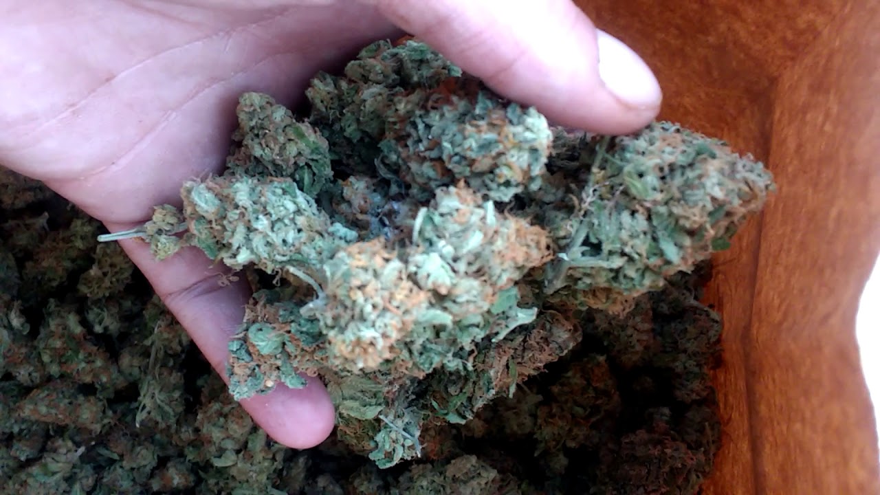 Ak47