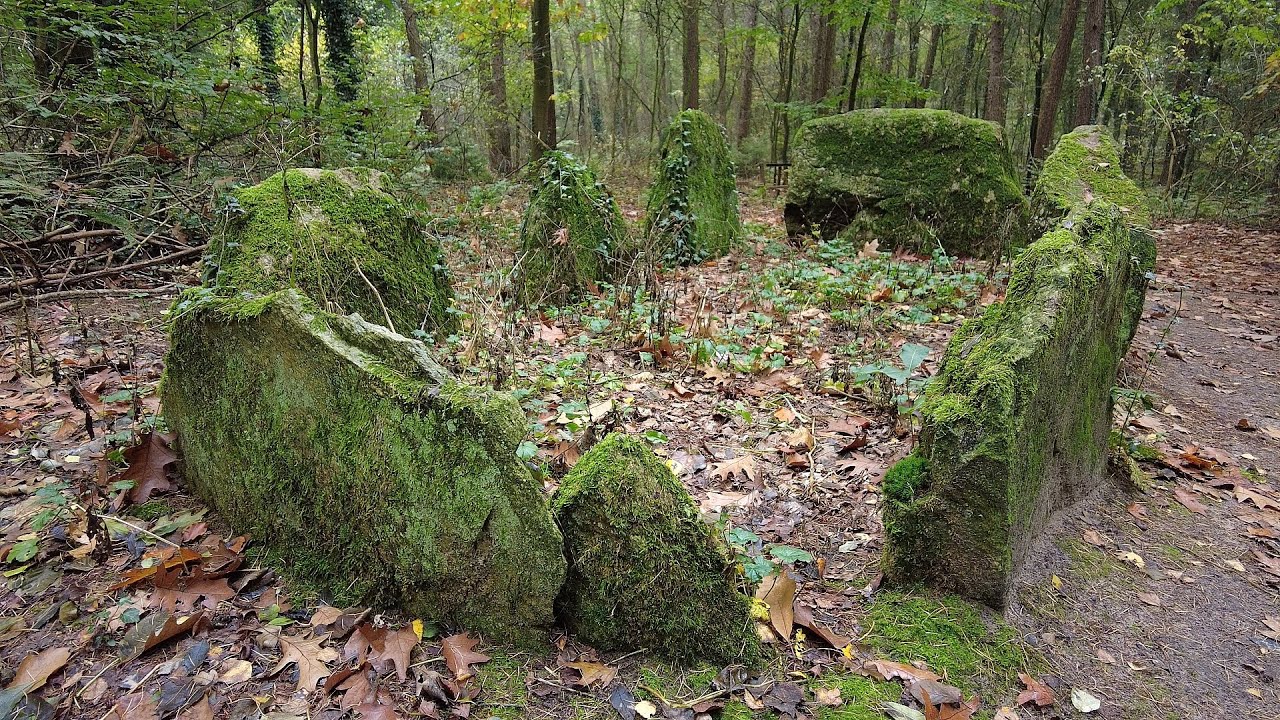 Die Steinkiste von Lindern bei Cloppenburg (Niedersachsen)