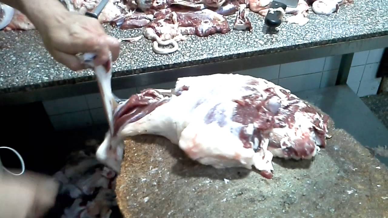 تشفيه فخده ضاني أسرع جزار ف مصر 01225274553