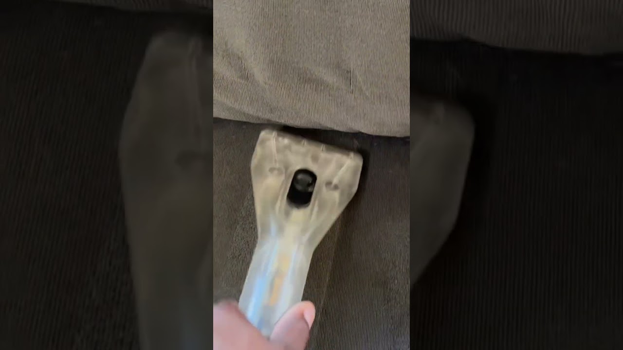 Dirty Sofa Carbonated Hot Water Extraction!