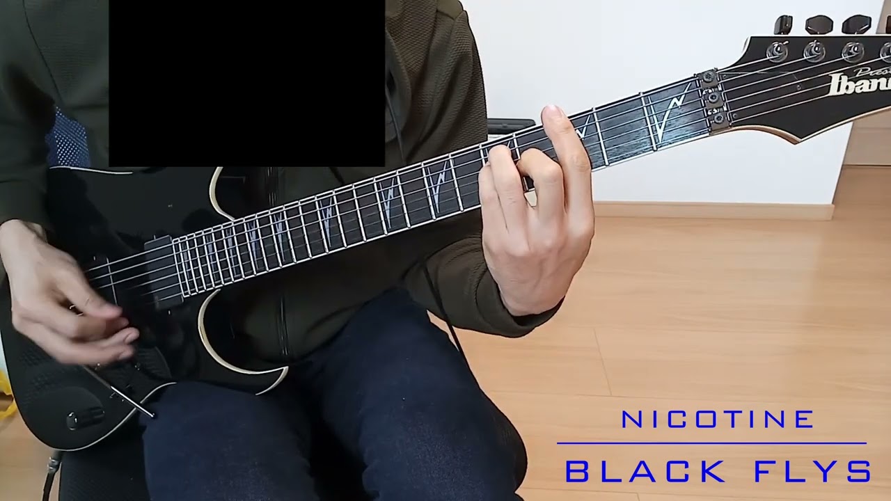 #106 NICOTINE『BLACK FLYS』ギター 弾いてみた。