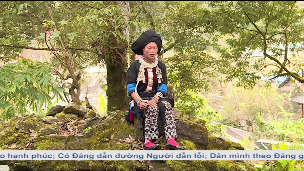 HAT NGUOI DAO SIN HO