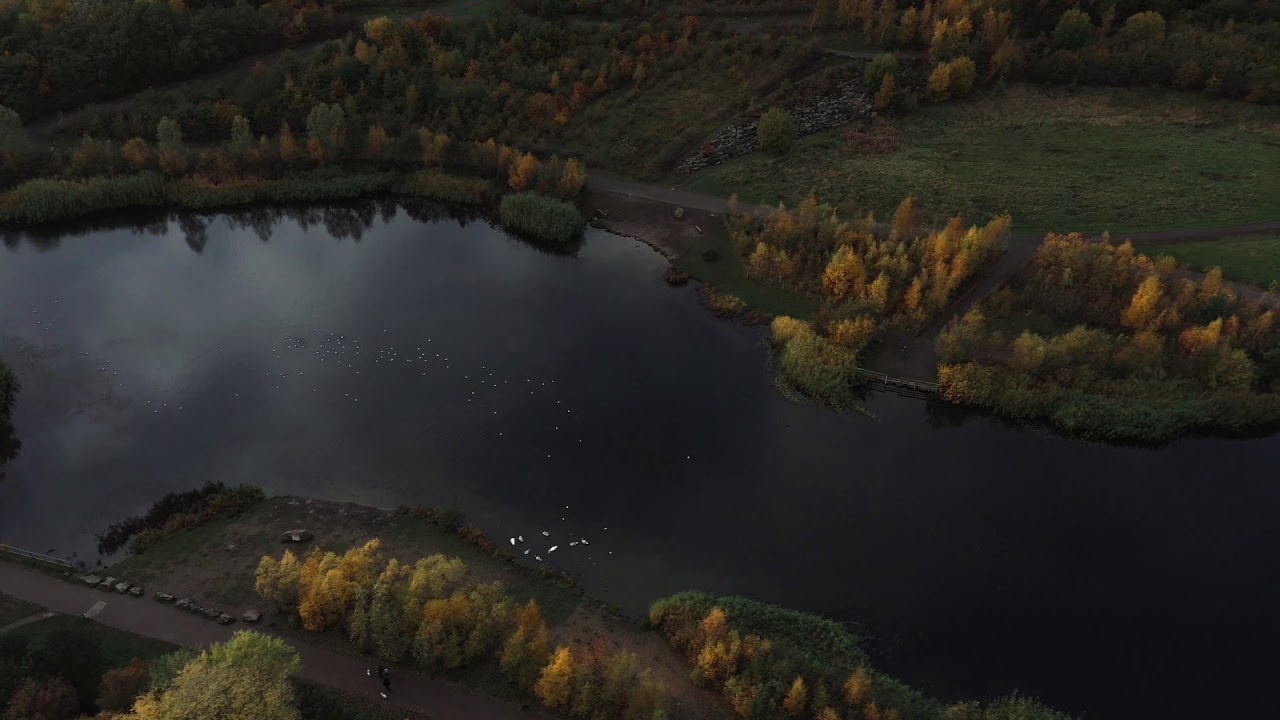 DJI Mavic 2 Pro - Watergate Forest Park - Gateshead, UK. 28/10/20