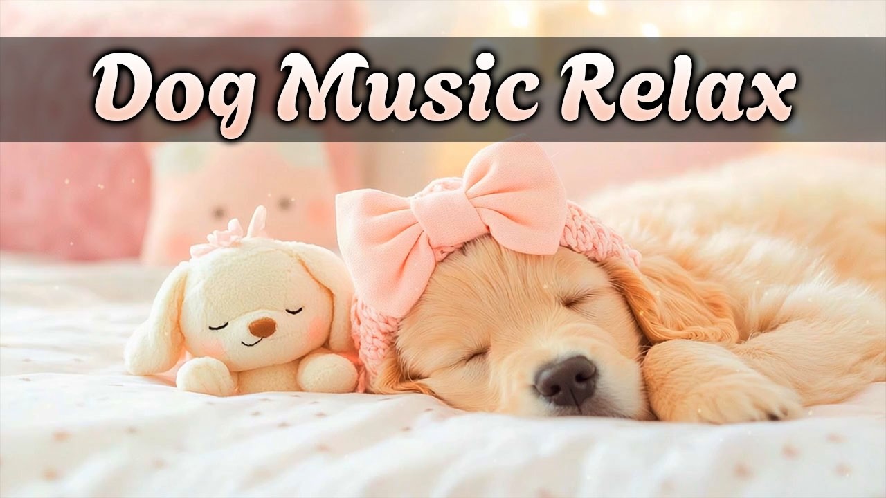 Успокаивающая музыка для собак 🐶 Глубокий сон и снятие тревоги | Спокойные расслабляющие звуки