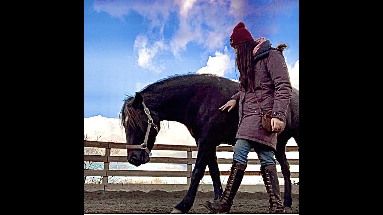 #49 | Katherine Griffin | Horses | Energy | Trauma | Healing | Soul Connections