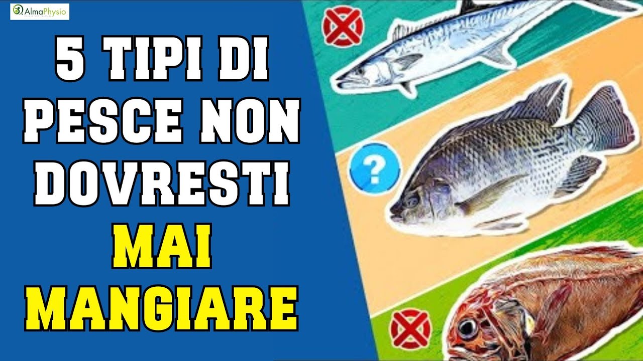 5 Tipi di Pesce che non dovresti MAI MANGIARE