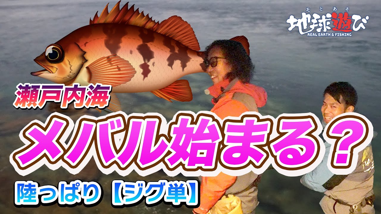 【今季初メバル】瀬戸内海メバルはいつから？まだなの？【366】