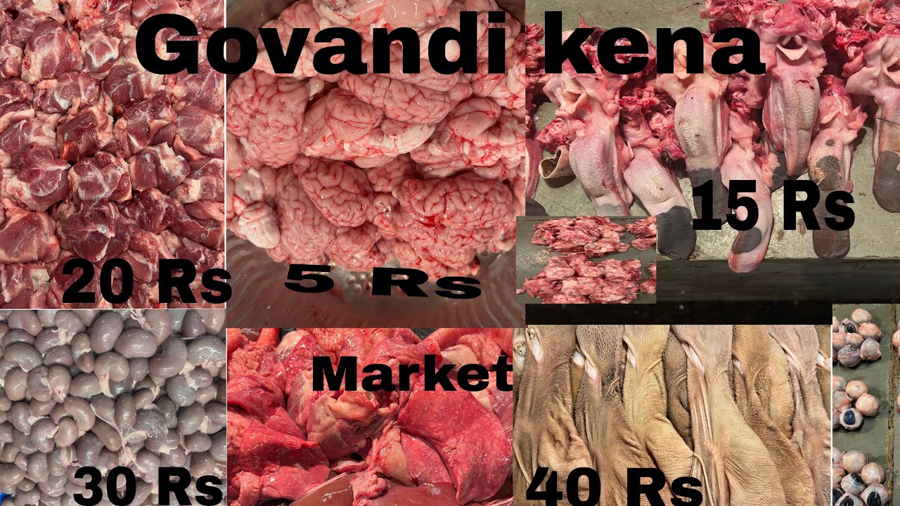 Mumbai Govandi Mutton Market | Govandi Deonar Mutton Market | Mumbai Deonar Wholesale Bakra Market 