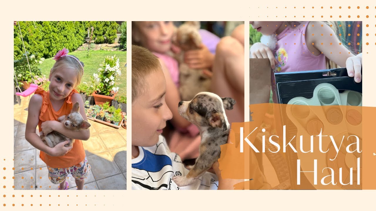 Miket vettünk a KISKUTYÁINKNAK? 🐶 - KISKUTYA HAUL