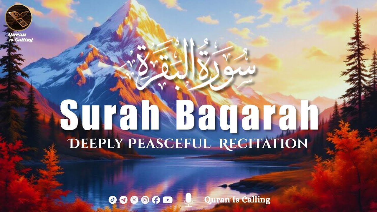 Surah Baqarah Surat Baqarah | سورة البقرة | Quran is Calling