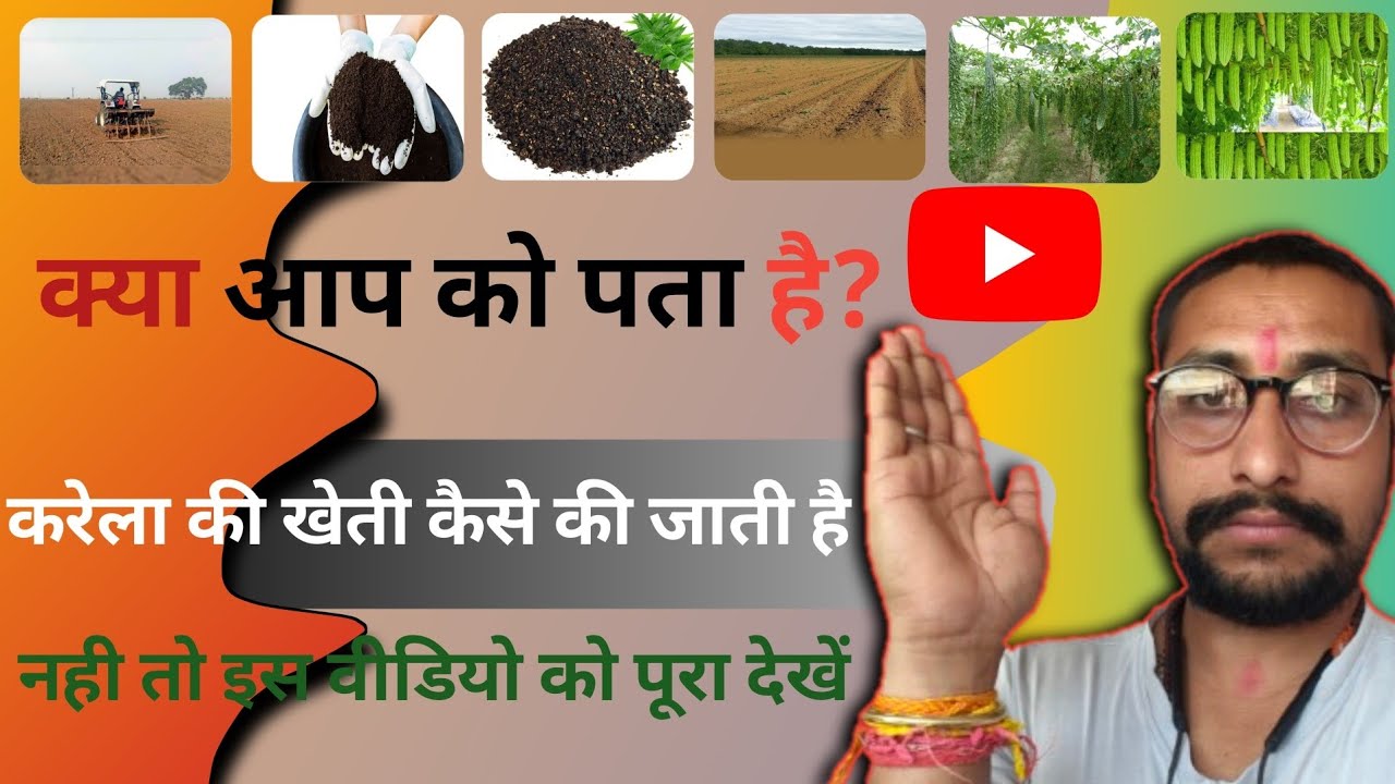 Karela Ki Kheti Se Lakh Kamai A to Z Complete Guide Naye Kisan Zarur Dekhen Karela Ki Sampurn Kheti