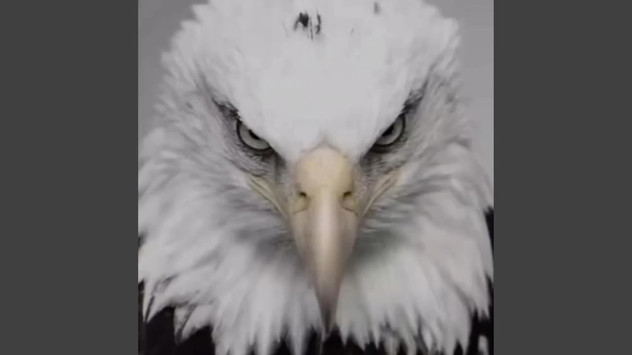 FORGOTTEN CHILD (Super Slowed Version)