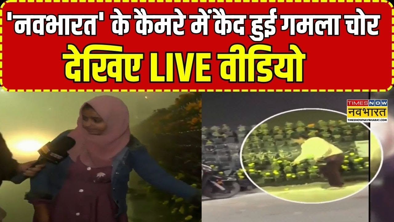 UP News: Lucknow में प्रेरणा स्थल के पास गमलों की चोरी, लोगों में गमला उठाने की होड़ | CM Yogi