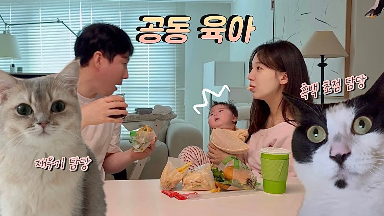 고양이와의 공동 육아 | 공포의 첫 원더윅스 👶🏻💦