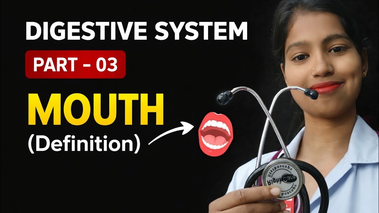 Digestive System Part-04 | Mouth – Definition, Function, Teeth Types | Easy  Explanation 
