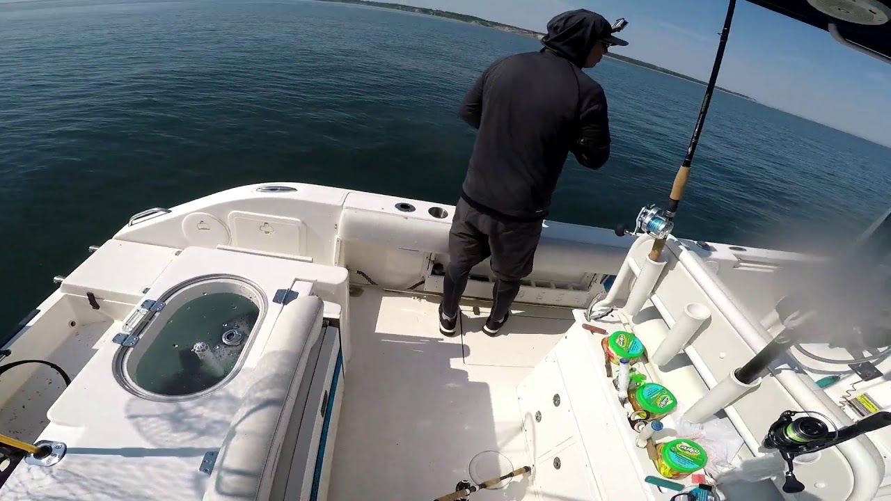 Eastern Long Island Fluke (Summer Flounder) Limit