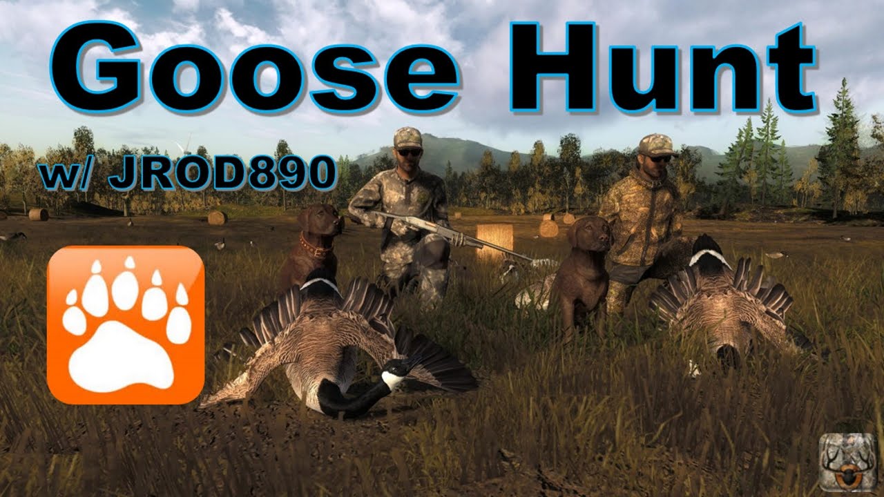 Goose Hunt w/ JROD890 | theHunter 2016