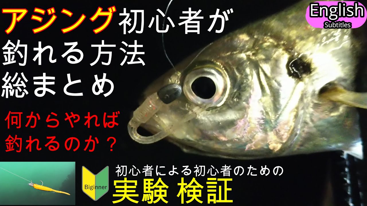 アジング釣り方　何をやれば釣れるのか　基本をわかりやすく総まとめ　初心者でも実際釣れるか実験検証