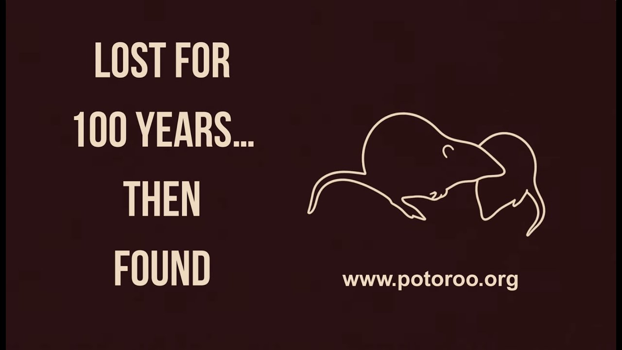Lost for 100 Years&hellip; Then Found