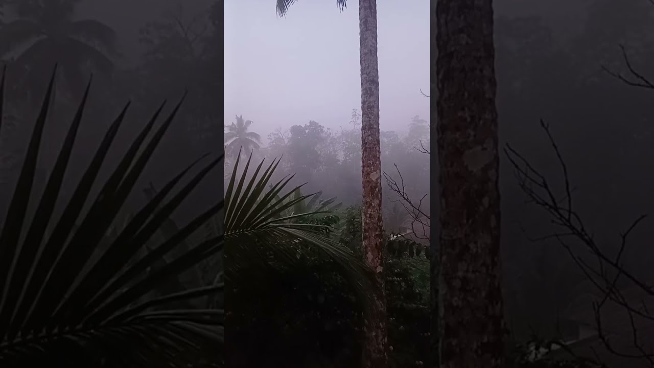 Polgampola Live (1 (Jan 26))
