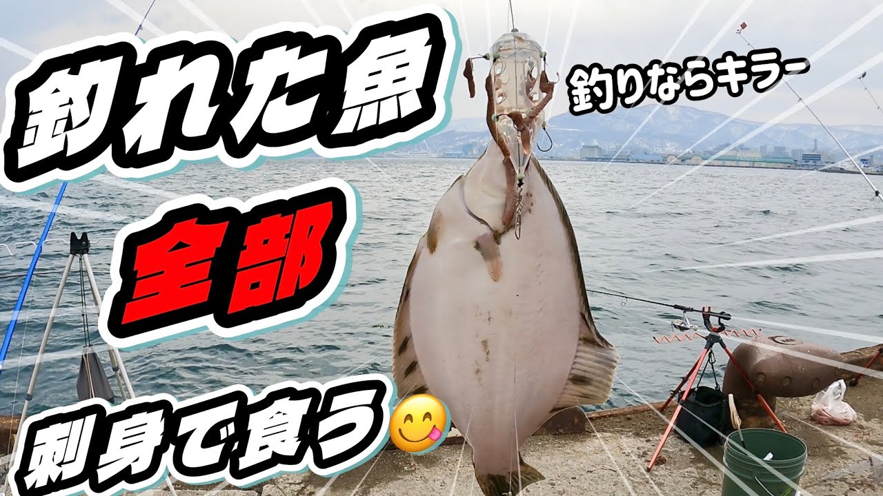 【北海道】【釣り】マメイカ、カレイ！ハゼにホッケ！幻ニシン！ここに居たのね釣りなら釣ながコンビ！　#ニシン#ホッケ#カレイ#マメイカ#釣りならキラー#北海道釣り