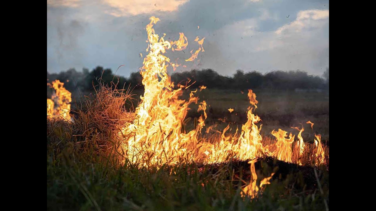 Buongiorno Corriere! Le news flash del mattino 15 giu 2024