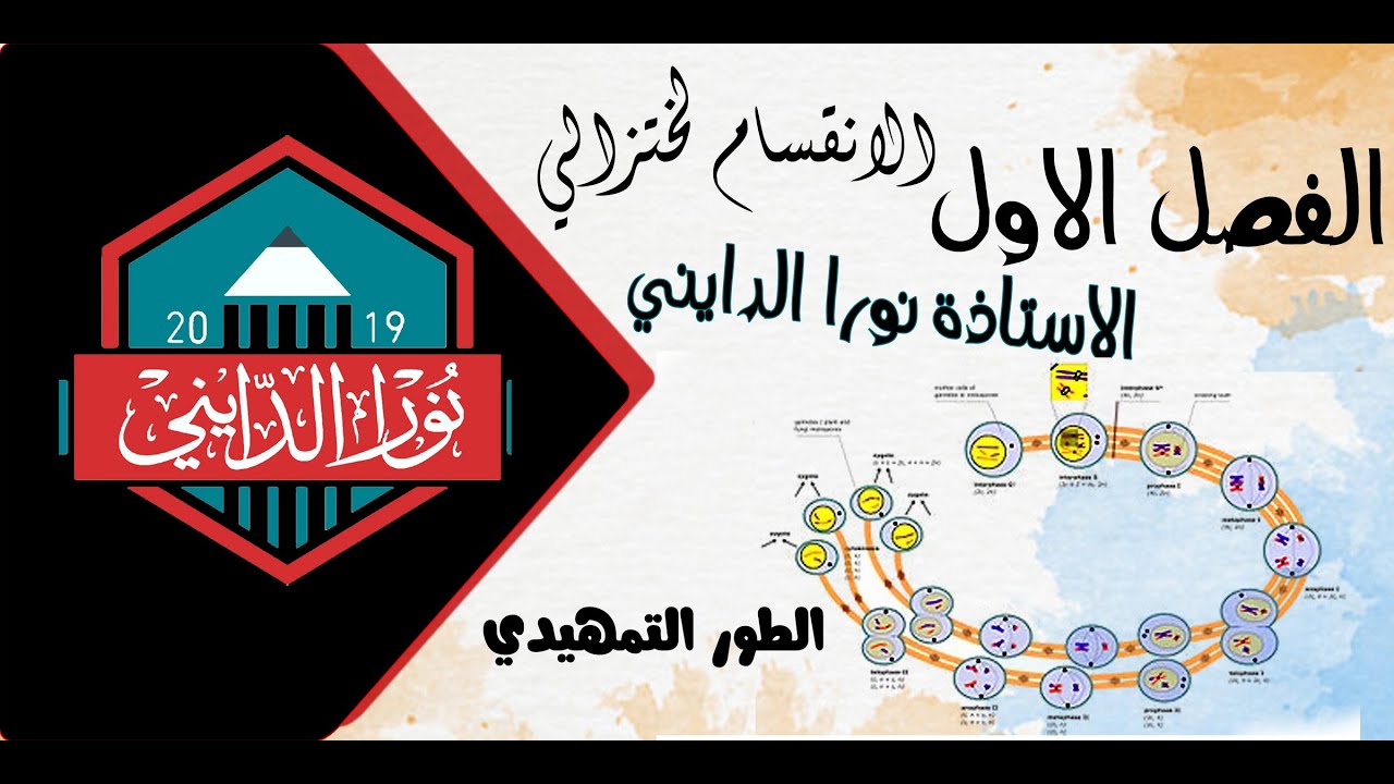 الانقسام الاختزالي الاول الطور التمهيدي الاول