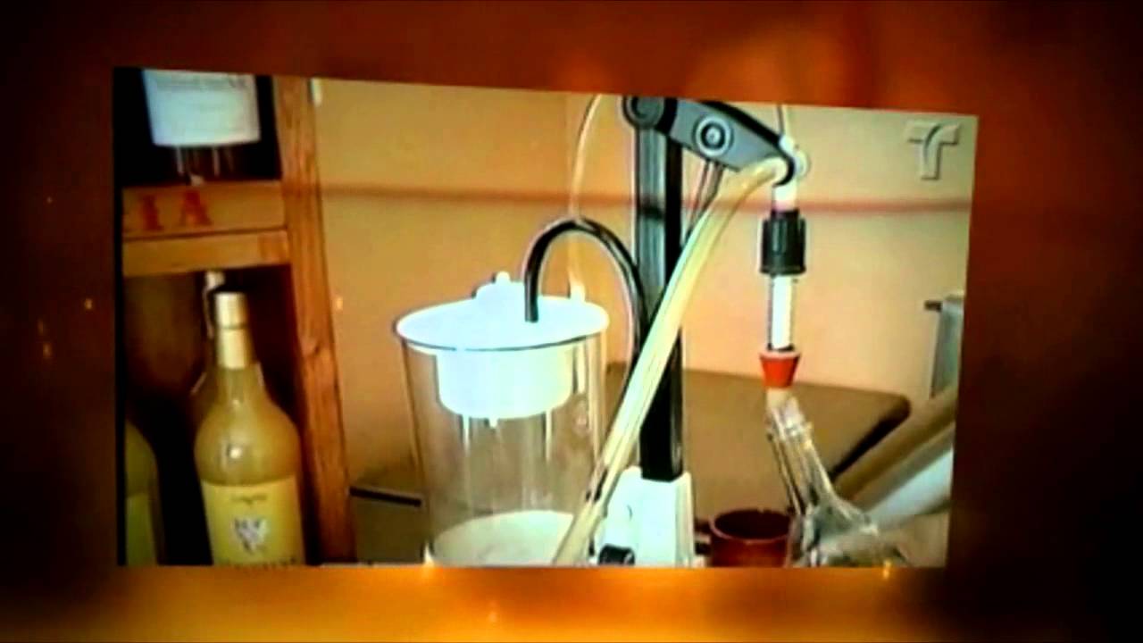 Sangria Ververena