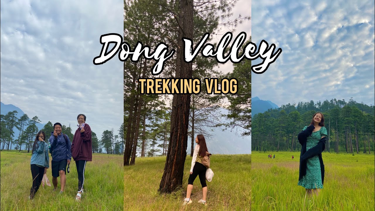 A short trek to Dong valley ll road trip from Roing to Walong ll