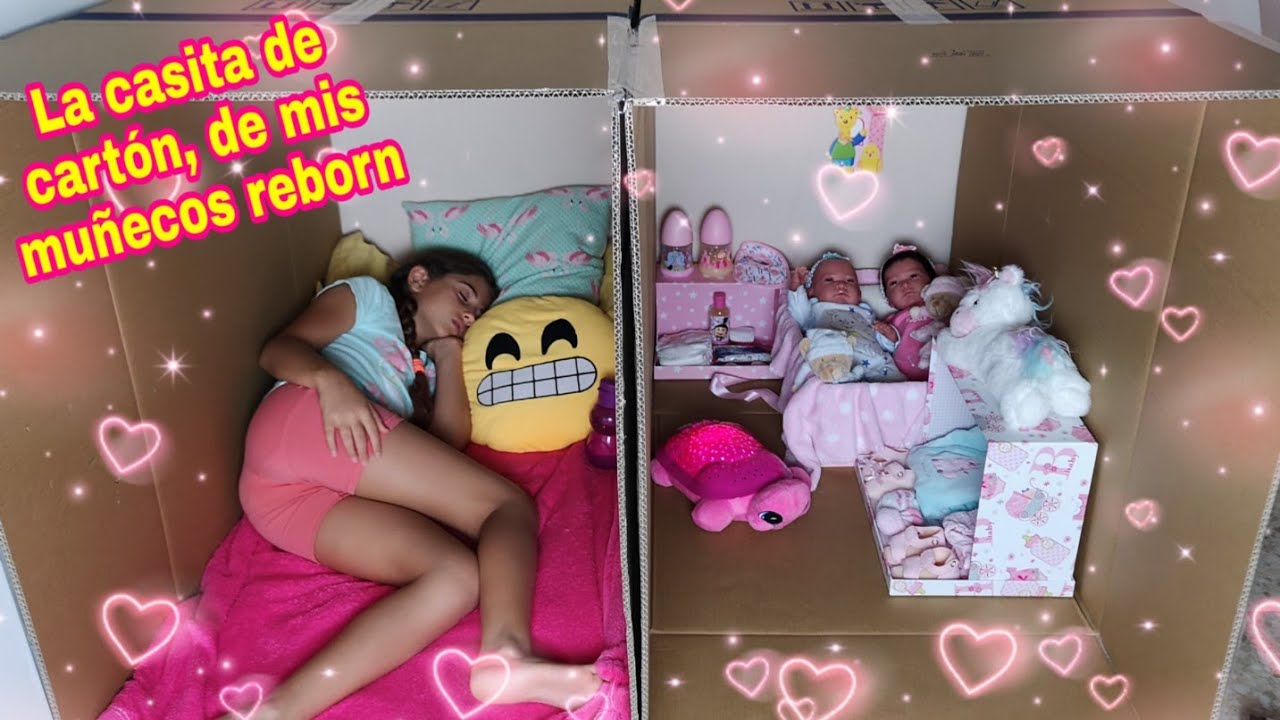 LA CASITA DE CARTON DE MIS REBORN