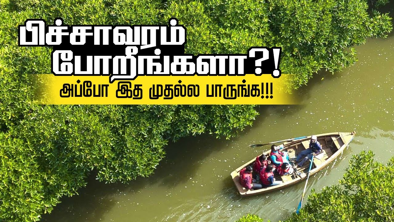 பிச்சாவரம் போறதுக்கு முன்னாடி இத பாருங்க | பிச்சாவரம் படகு சவாரி  Pitachavaram Boating | budget tour