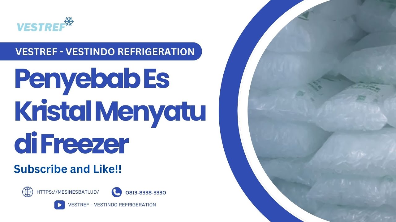 TERNYATA INI PENYEBAB ES KRISTAL MENYATU DI DALAM FREEZER!! || VESTREF