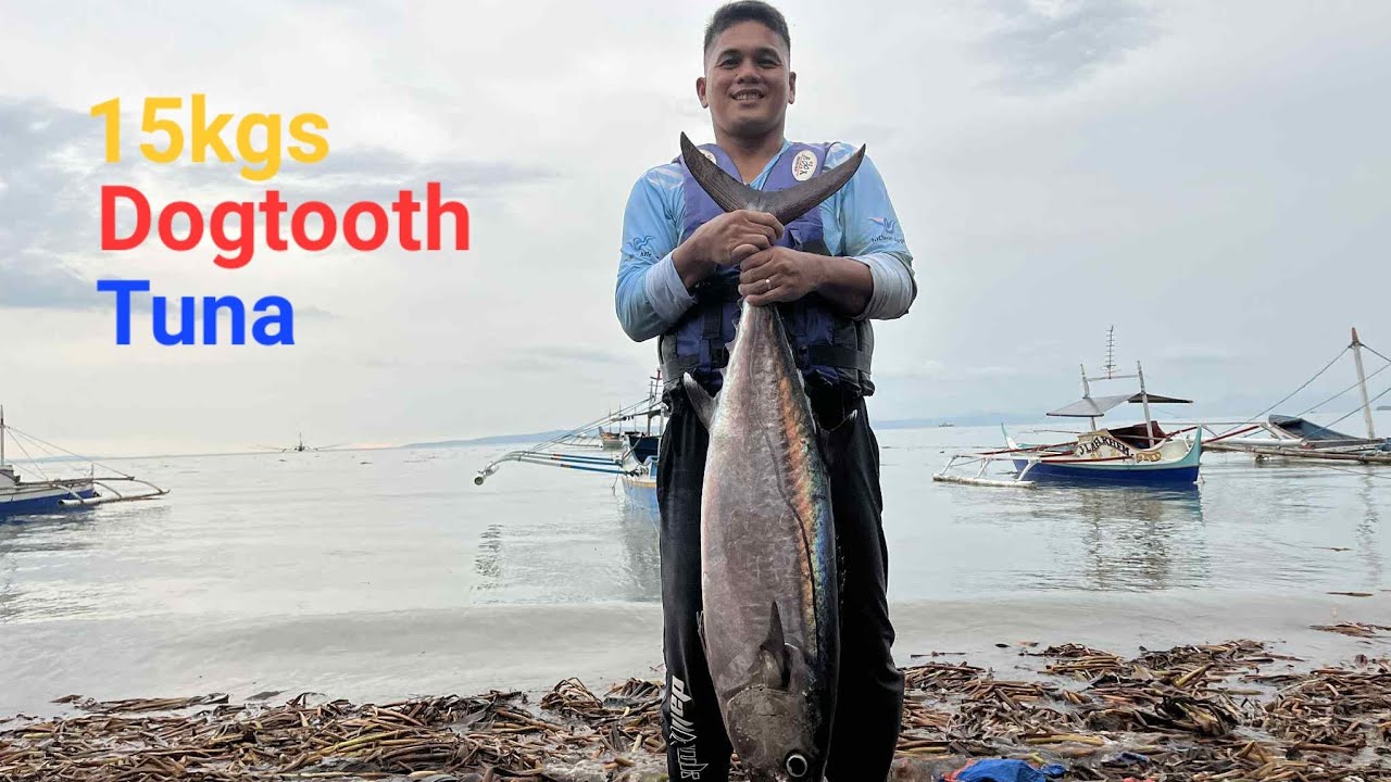 15kgs Dogtooth Tuna Caught in Vertical Jigging By: DC Family Garden