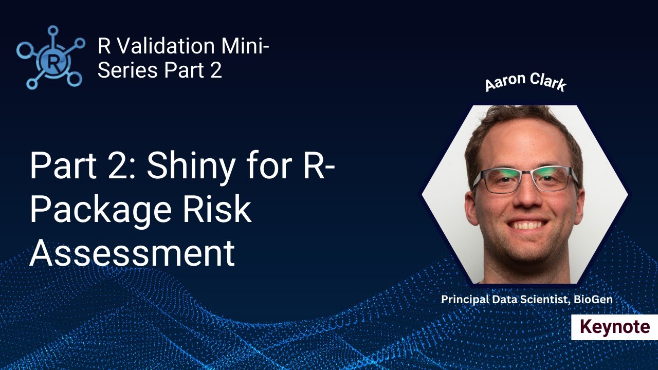 R Validation Hub Mini-Series Part II - Shiny for R Package Risk Assessment