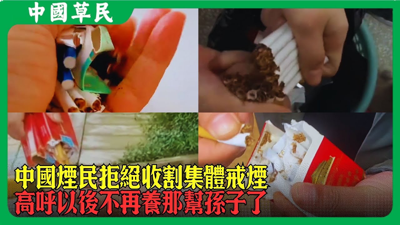 中國煙民拒絕收割集體戒煙.高呼以後不再養那幫孫子了#戒烟#4700万#Reaction