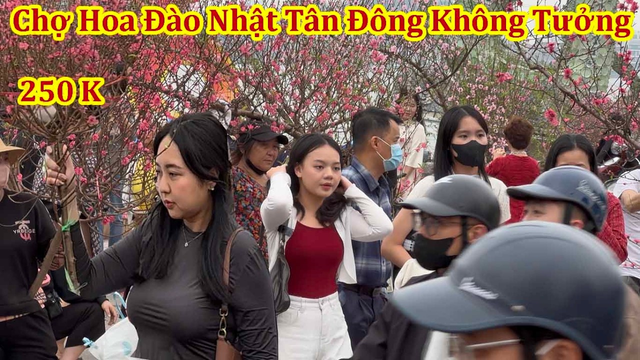VỠ TRẬN CHỢ ĐÀO CÀNH NHẬT TÂN LỚN NHẤT HÀ NỘI