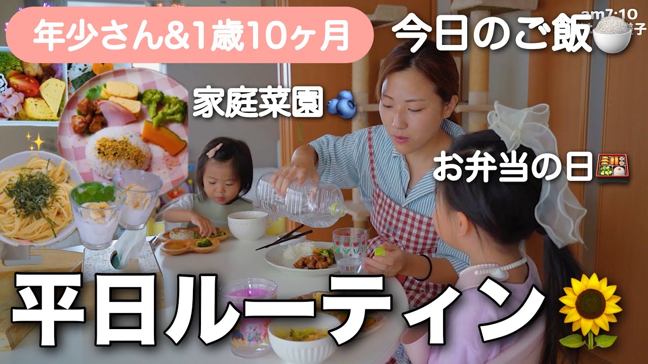 夏の平日ルーティン🌻年少さんのお弁当作り🍱家庭菜園とご飯を楽しむ1日🫐💕1歳10ヶ月&3歳