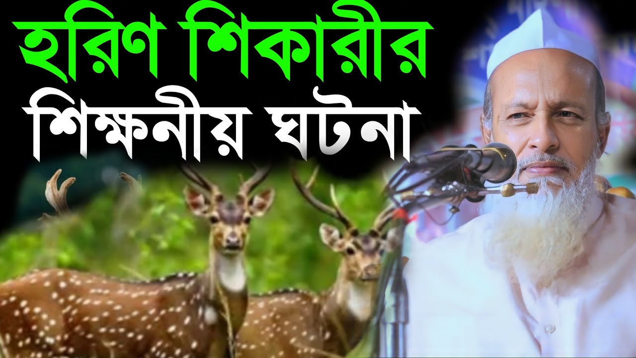 হরিণ শিকারীর শিক্ষনীয় ঘটনা।মাওলানা ফজলুর রহমান খান সাহেব বানিয়াচং 2023new Bangla watchভাইরাল ওয়াজ