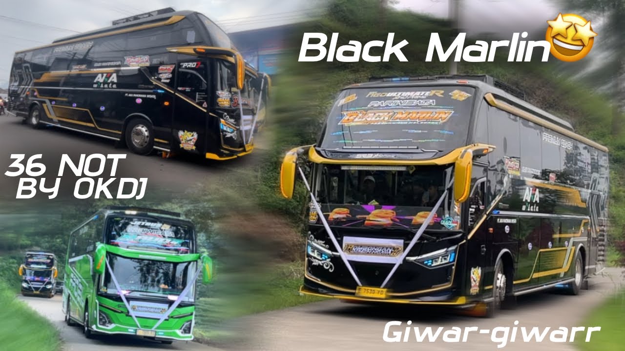 AKA WISATA BLACK MARLIN 36 NOTT 🤩