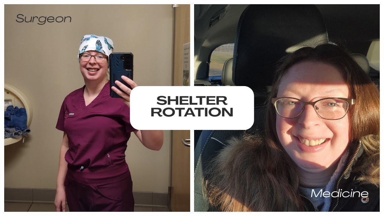 First Week of Shelter Medicine & Surgery Clinical Rotation